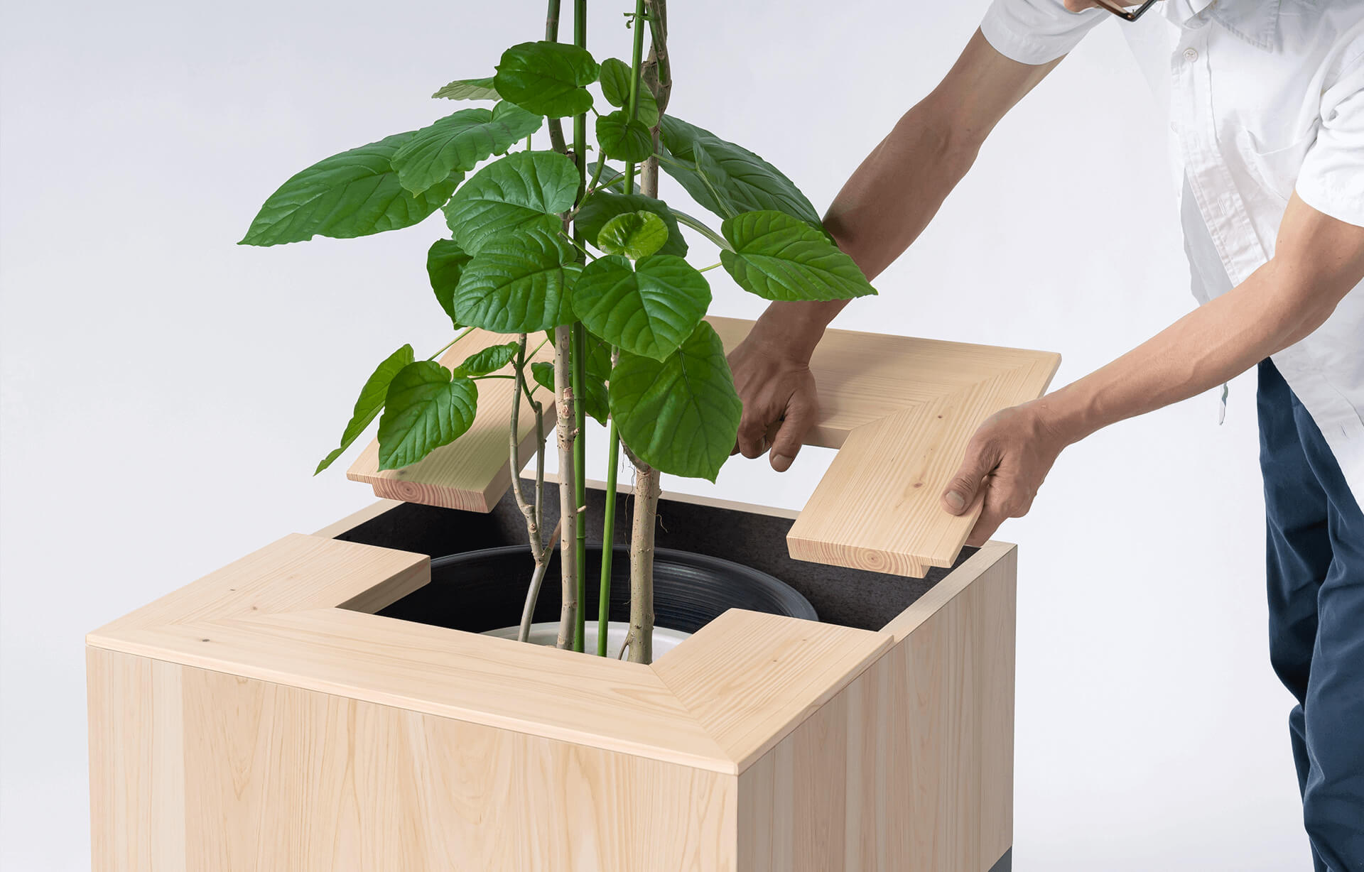 ROOT PLANTER BOX