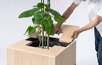 ROOT PLANTER BOX